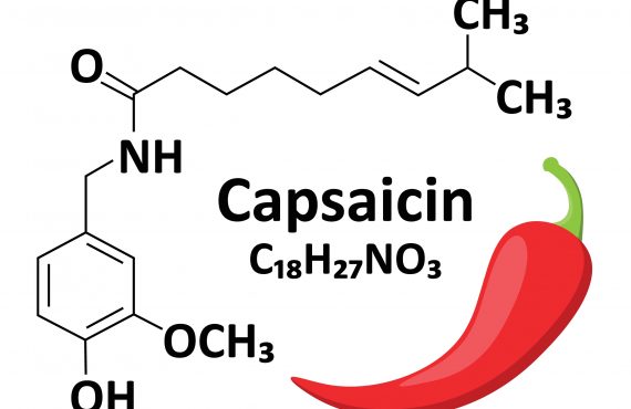 Chemische Formel Capsaicin