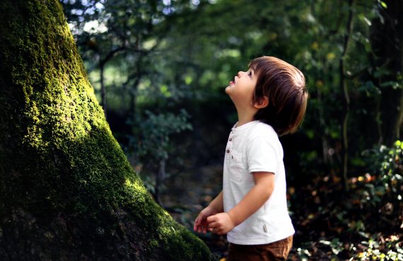 kleiner Junge bestaunt Baum