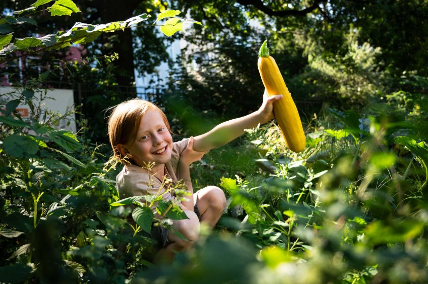 GemüseAckerdemie_Copyright_Kristian_Barthen